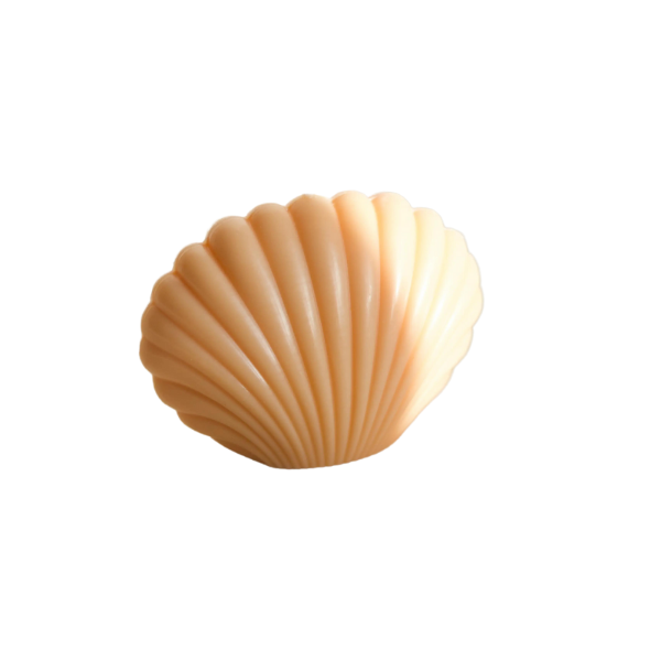Soy Wax Seashell Candle-Decor-NEVANNA