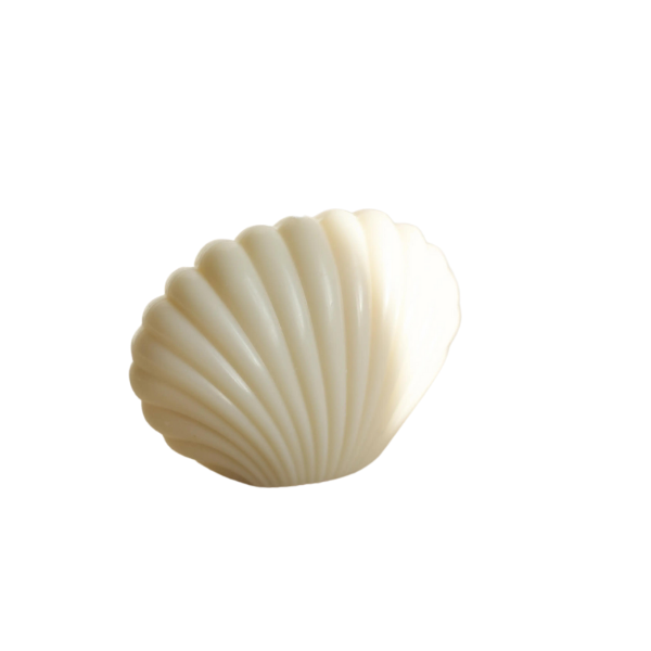 Soy Wax Seashell Candle-Decor-NEVANNA