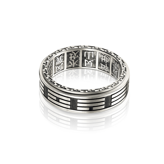 Yin Yang Titanium Spinner Ring-Rings-NEVANNA